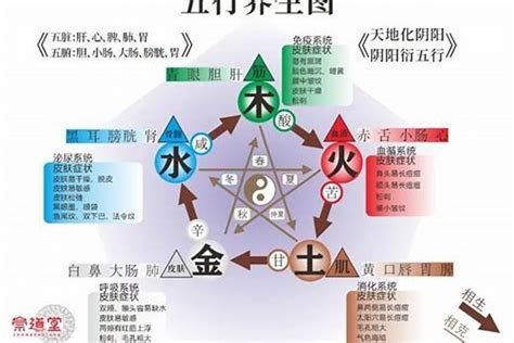 屬土的人缺水|何處可測五行屬水缺什麼？專業點評